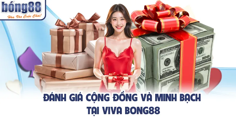 Đánh giá cộng đồng và minh bạch tại viva bong88